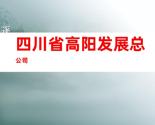 四川省高阳发展总公司
