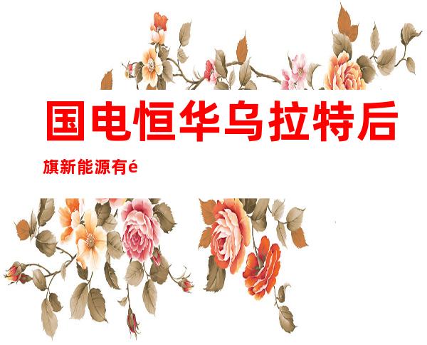 国电恒华乌拉特后旗新能源有限公司