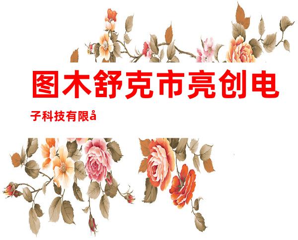 图木舒克市亮创电子科技有限公司