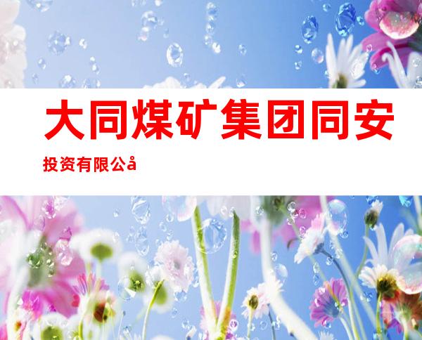 大同煤矿集团同安投资有限公司