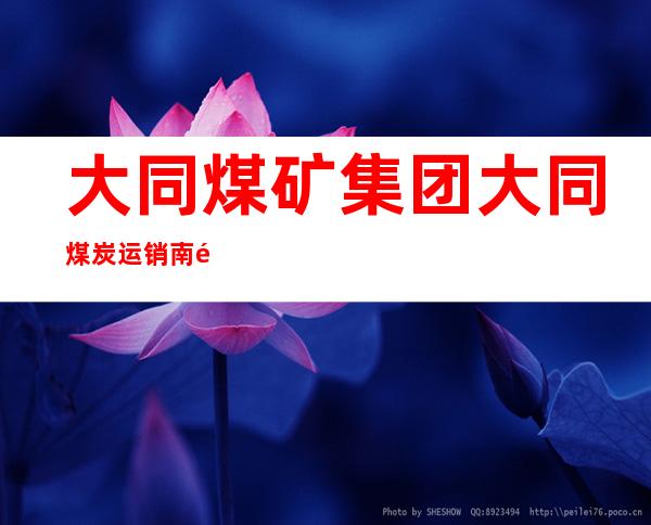 大同煤矿集团大同煤炭运销南郊乔村发运有限公司