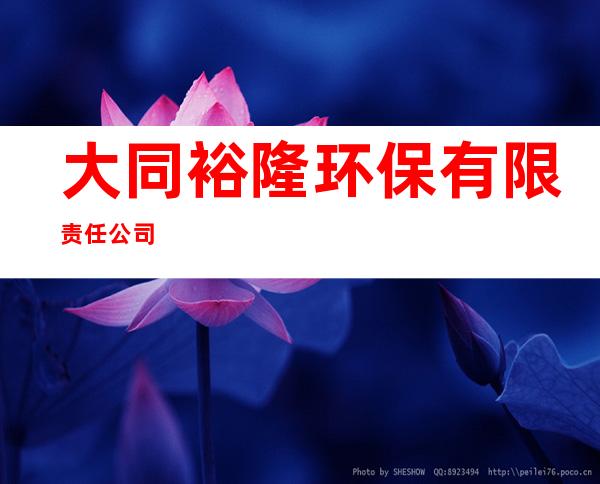 大同裕隆环保有限责任公司