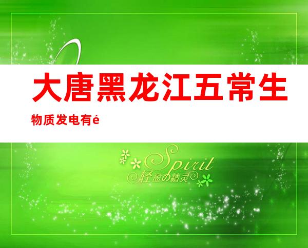 大唐黑龙江五常生物质发电有限公司
