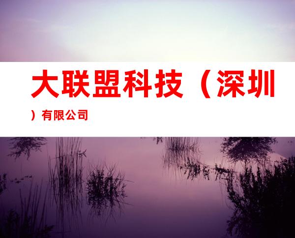 大联盟科技(深圳)有限公司