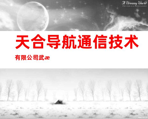 天合导航通信技术有限公司武汉分公司