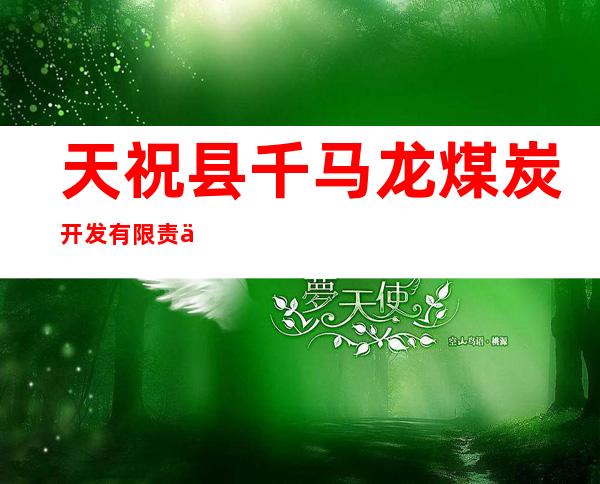天祝县千马龙煤炭开发有限责任公司