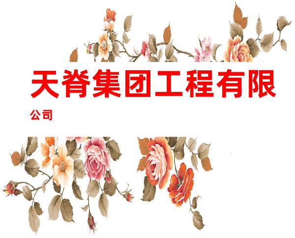 天脊集团工程有限公司