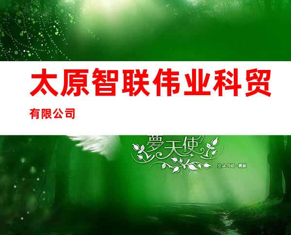 太原智联伟业科贸有限公司