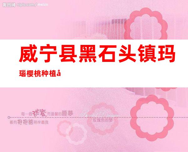威宁县黑石头镇玛瑙樱桃种植基地