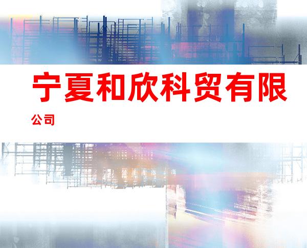 宁夏和欣科贸有限公司
