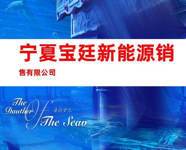 宁夏宝廷新能源销售有限公司