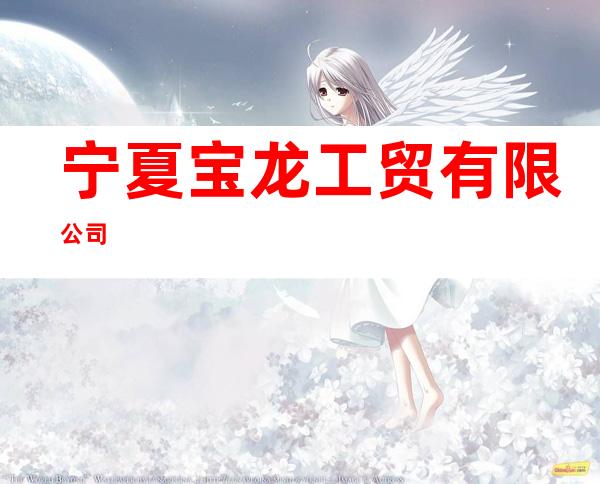 宁夏宝龙工贸有限公司