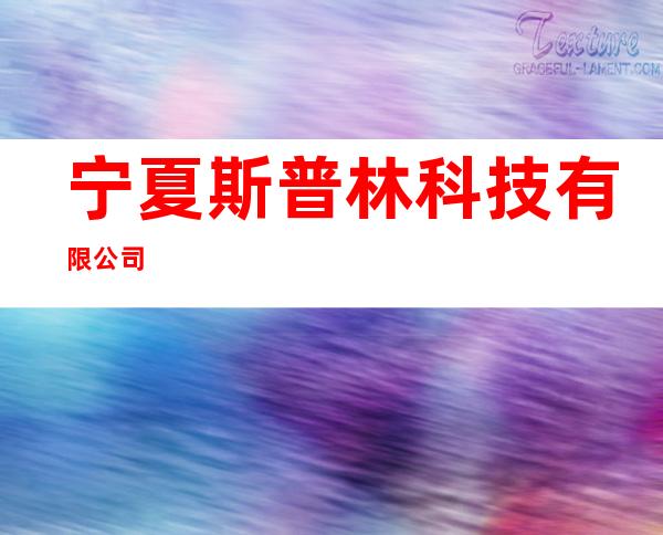 宁夏斯普林科技有限公司