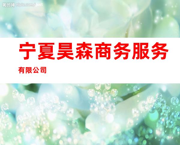 宁夏昊森商务服务有限公司