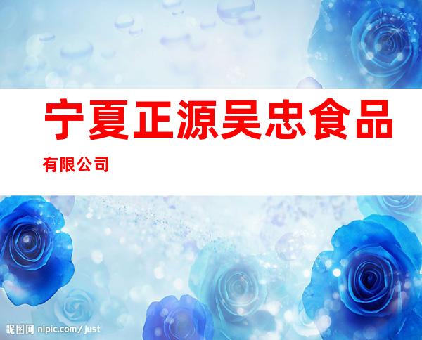 宁夏正源吴忠食品有限公司