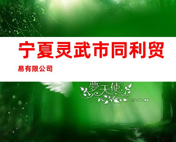 宁夏灵武市同利贸易有限公司