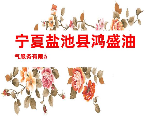 宁夏盐池县鸿盛油气服务有限公司