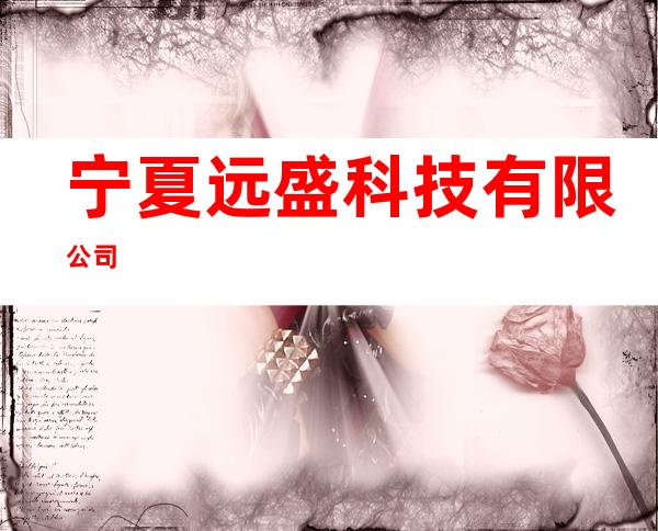 宁夏远盛科技有限公司