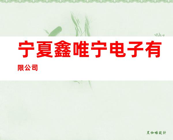 宁夏鑫唯宁电子有限公司