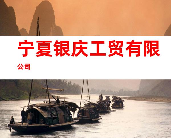 宁夏银庆工贸有限公司