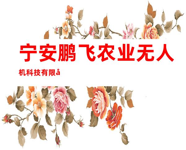 宁安鹏飞农业无人机科技有限公司