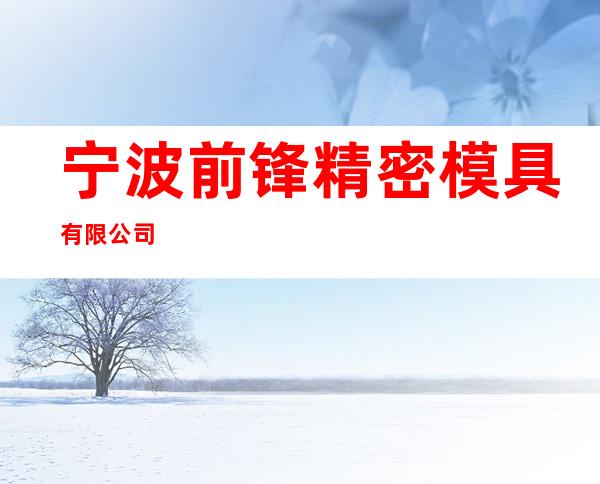 宁波前锋精密模具有限公司