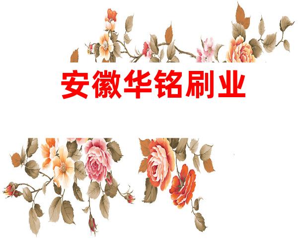 安徽华铭刷业