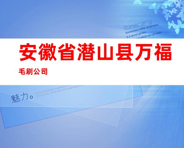 安徽省潜山县万福毛刷公司
