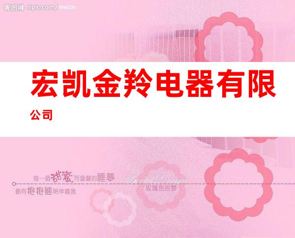 宏凯金羚电器有限公司