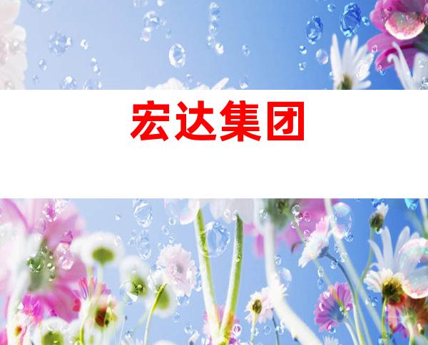 宏达集团