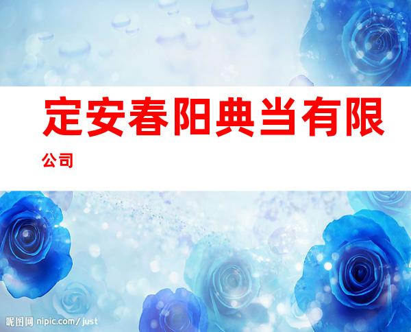定安春阳典当有限公司