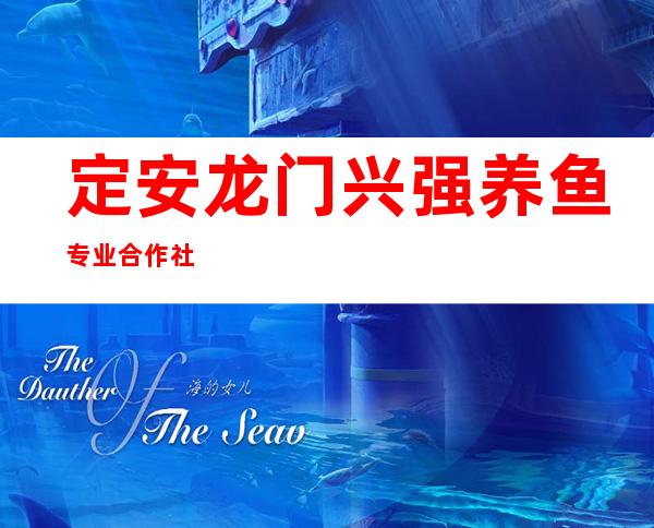 定安龙门兴强养鱼专业合作社
