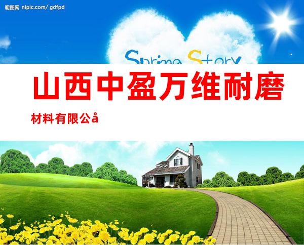 山西中盈万维耐磨材料有限公司