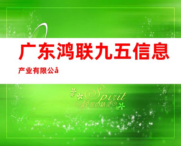 广东鸿联九五信息产业有限公司
