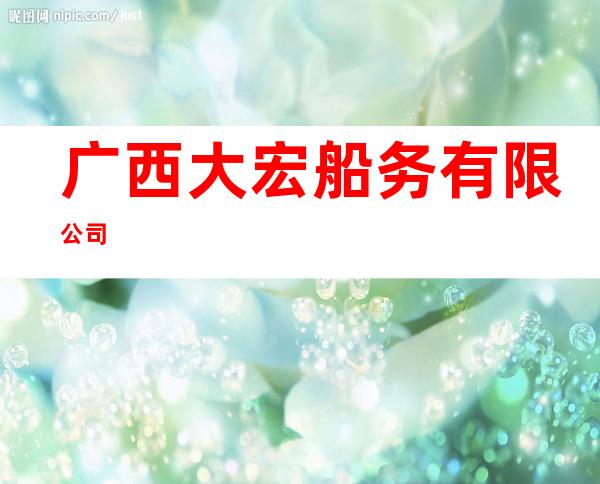 广西大宏船务有限公司