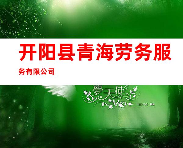 开阳县青海劳务服务有限公司