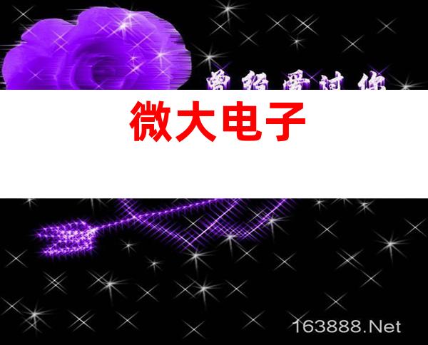 微大电子