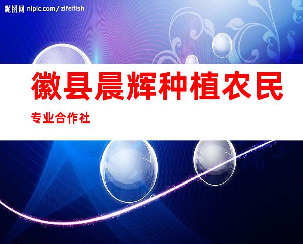 徽县晨辉种植农民专业合作社
