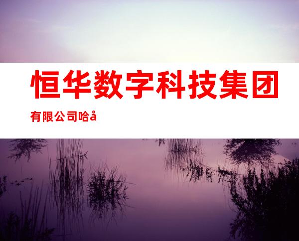 恒华数字科技集团有限公司哈尔滨分公司