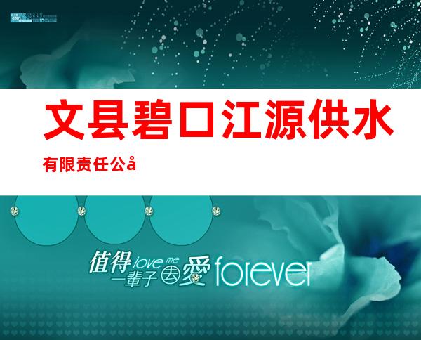 文县碧口江源供水有限责任公司