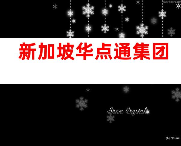 新加坡华点通集团