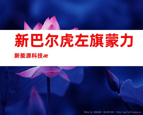 新巴尔虎左旗蒙力新能源科技有限公司