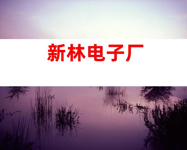 新林电子厂