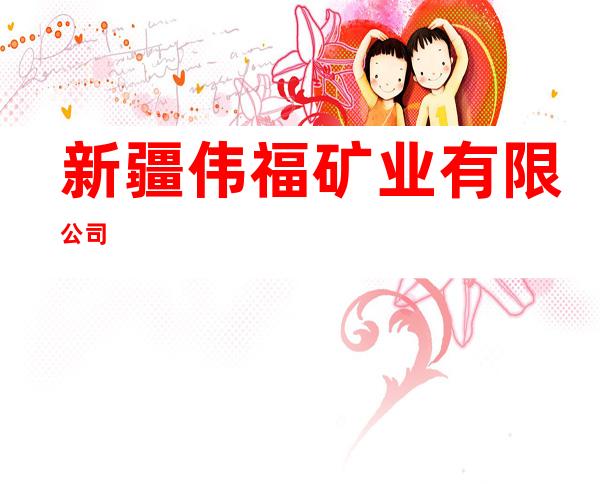 新疆伟福矿业有限公司