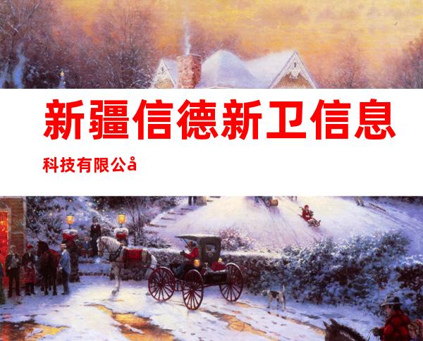 新疆信德新卫信息科技有限公司