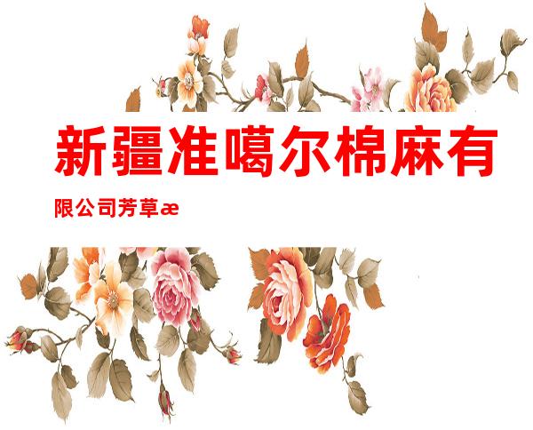 新疆准噶尔棉麻有限公司芳草湖二场分公司