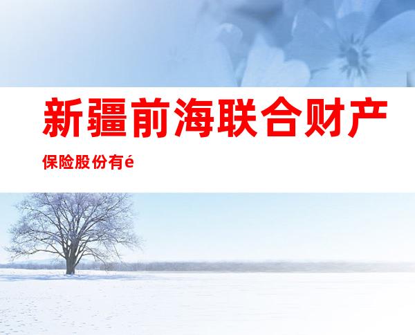 新疆前海联合财产保险股份有限公司