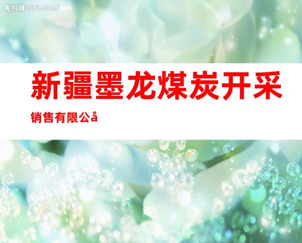 新疆墨龙煤炭开采销售有限公司