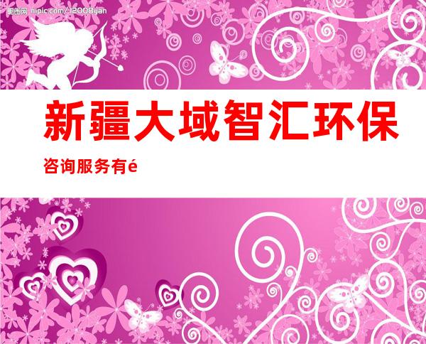 新疆大域智汇环保咨询服务有限公司