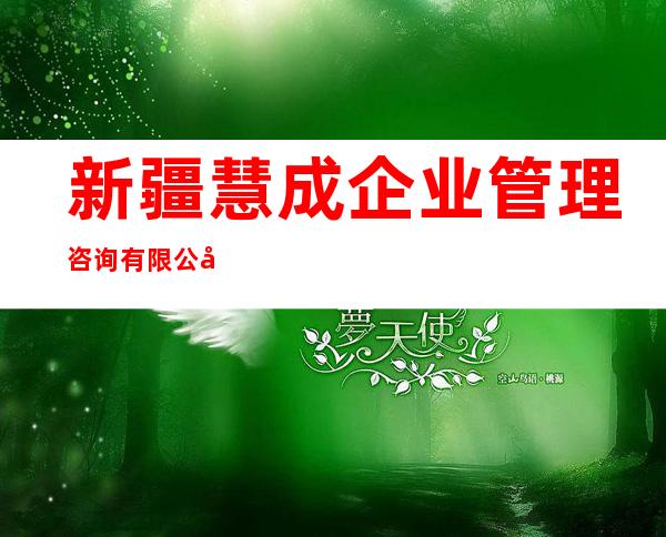 新疆慧成企业管理咨询有限公司